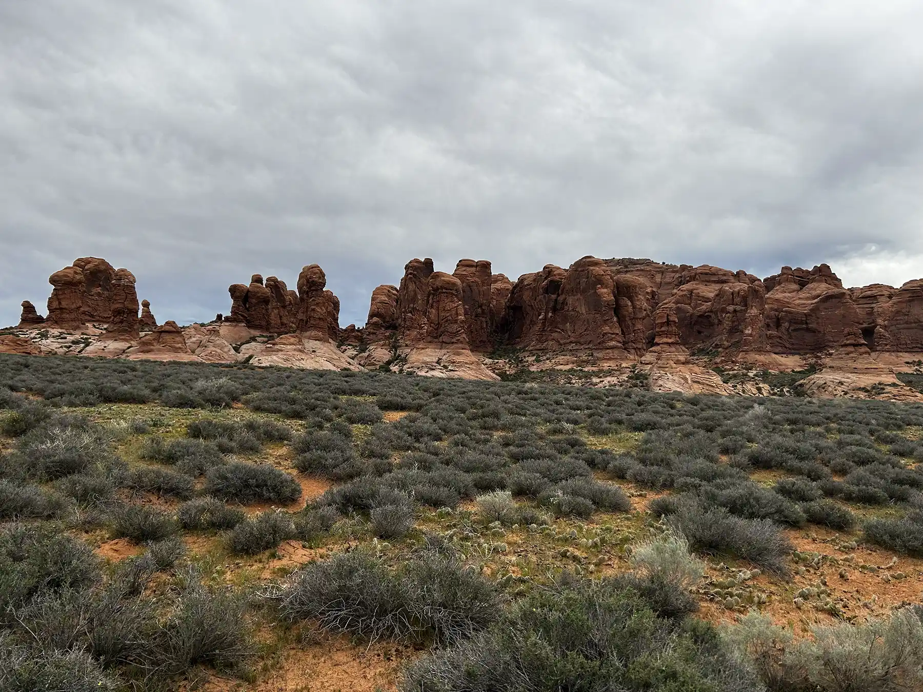 Sandstone cliffs and desert vegetation in Arches National Park where animals shelter from heat
