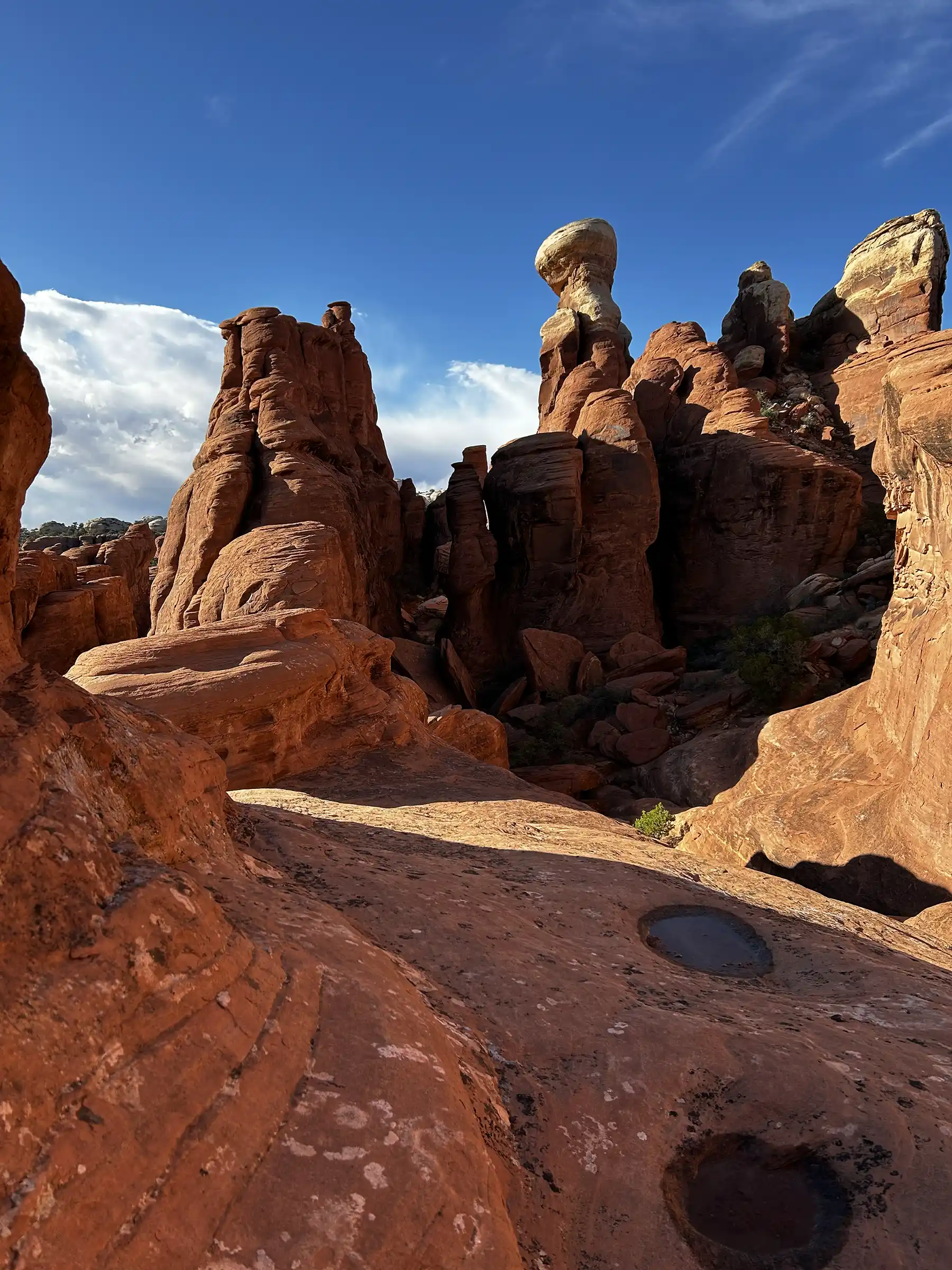 Open desert sky and rock formations in Arches National Park where ravens, swifts, hawks, and vultures may be seen