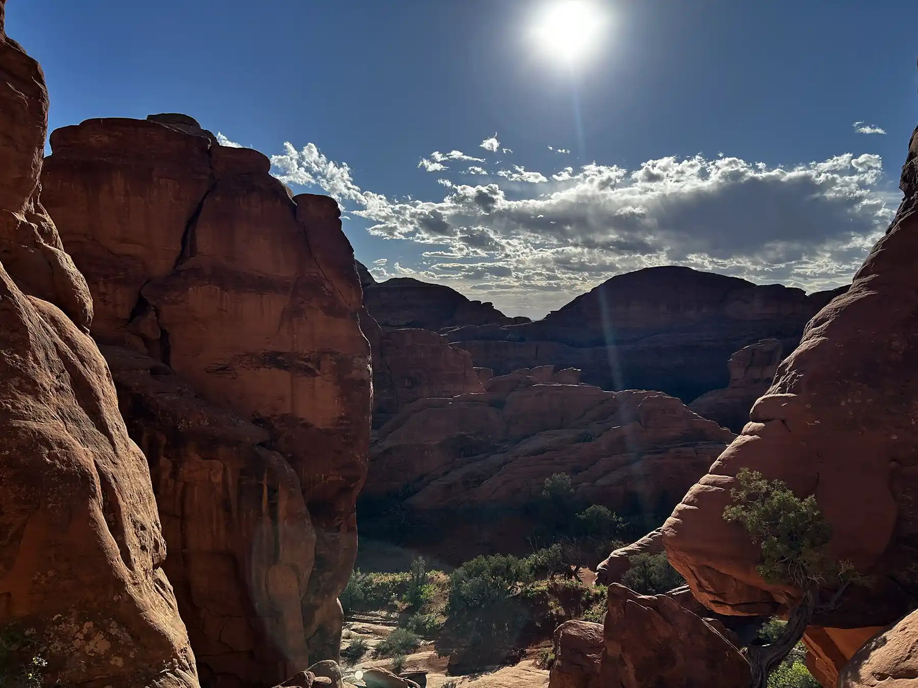 Sunlit sandstone and desert floor in Arches National Park where lizards and snakes use warmth, shade, and rock cover