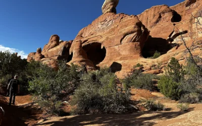 Wildlife in Arches National Park
