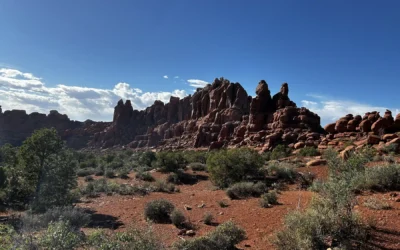 Best Hikes in Arches National Park
